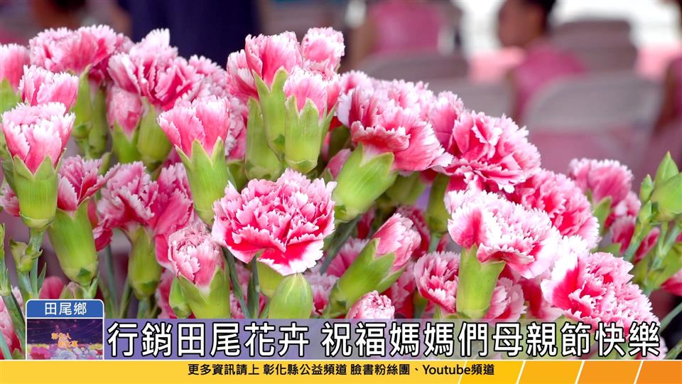 114-04-29 花現美好 馨欣向農 行銷推廣田尾康乃馨